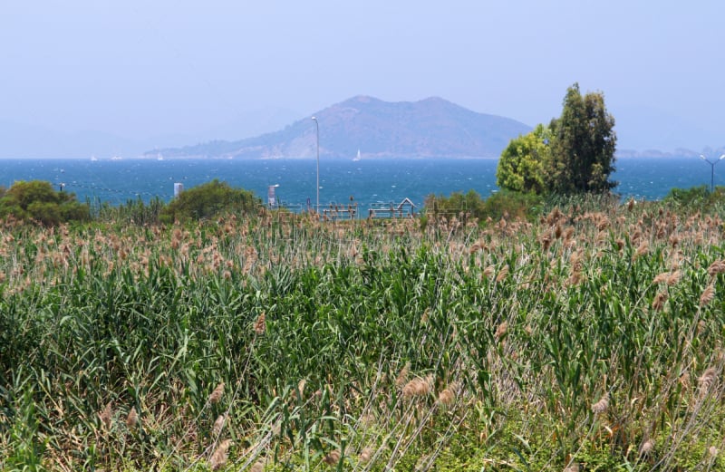 斐提耶,海滩,土耳其,风景,地中海,名声,背景,居住区,马尔马里斯,俄鲁丹尼斯