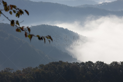 山,雾,自然,天空,水平画幅,地形,秋天,无人,早晨,户外