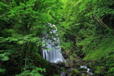 瀑布,夏天,自然,水,北盐原,福岛里,水平画幅,无人,日本,福岛县