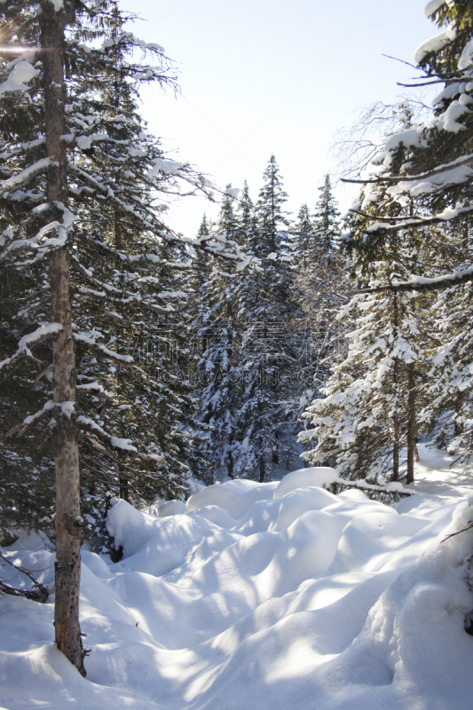 雪堆,冬天,地形,山脉,森林,乌拉尔联邦管区,垂直画幅,美,山,雪