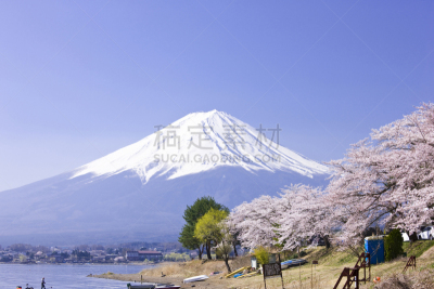 樱花,富士山,天空,留白,水平画幅,无人,早晨,户外,植物,山