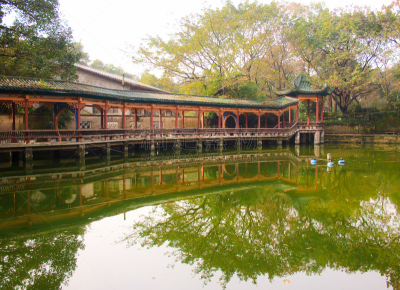 地形,公园,自然,风,水平画幅,巨大的,夏天,户外,湖,草