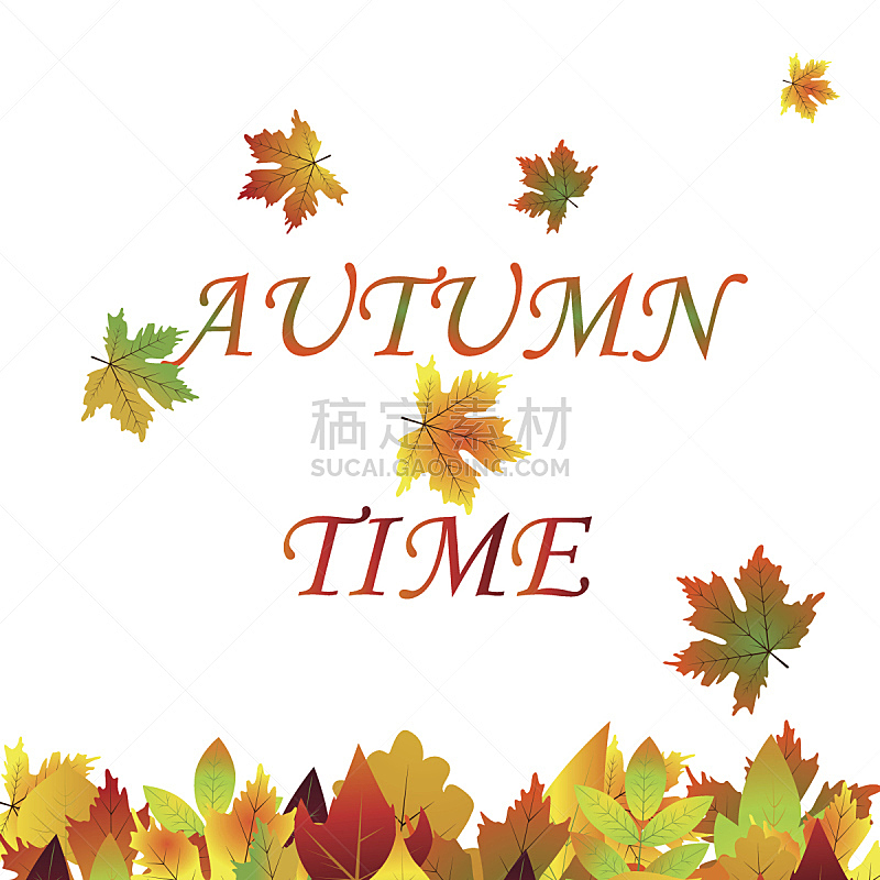秋天,背景,枫叶,白色,空白的,纹理效果,十月,计划书,边框,公园