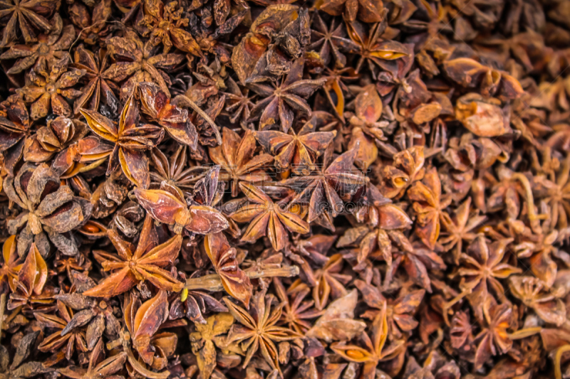 城镇,戈卡尔那,褐色,艺术,水平画幅,形状,无人,茴芹,干的,特写