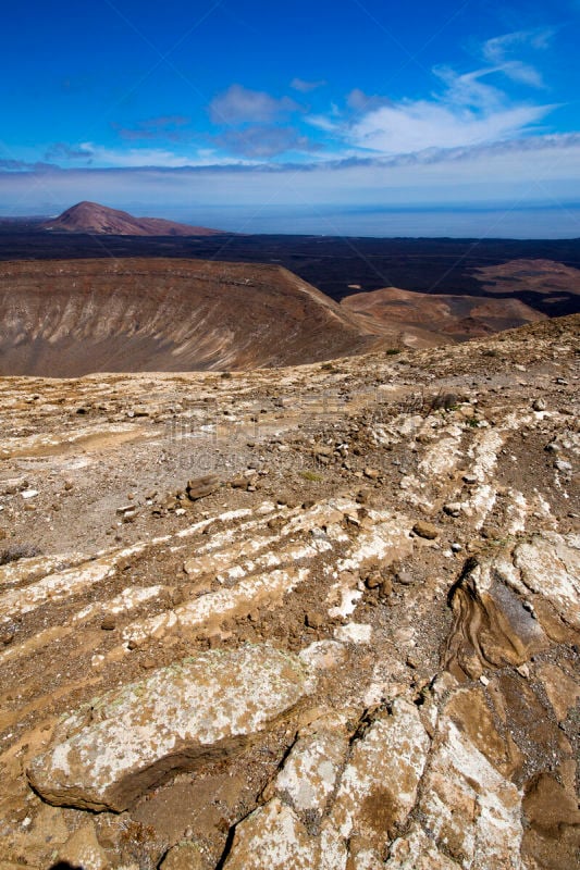 兰萨罗特岛,仅一朵花,timanfaya national park,植物,灌木,西班牙,盐滩,垂直画幅,天空,公园