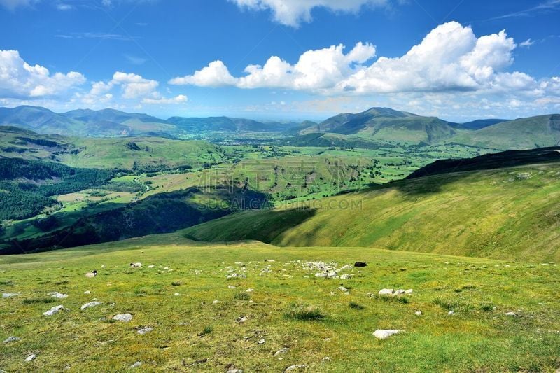 欧洲赤松,石墙,国家公园,水平画幅,山,英格兰,户外,树林,田地,格里斯代尔派克