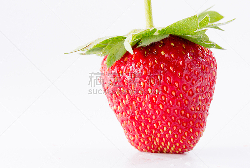 特写,草莓,两个人,白色背景,水平画幅,素食,组物体,白人,白色,清新