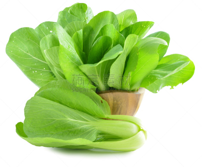 油菜,白色,分离着色,胡青,浮冰,牛皮菜,芜菁,水平画幅,有机食品,维生素