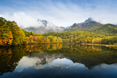 湖,冈谷,欧洲赤松,水,天空,美,水平画幅,长野县,无人,户外