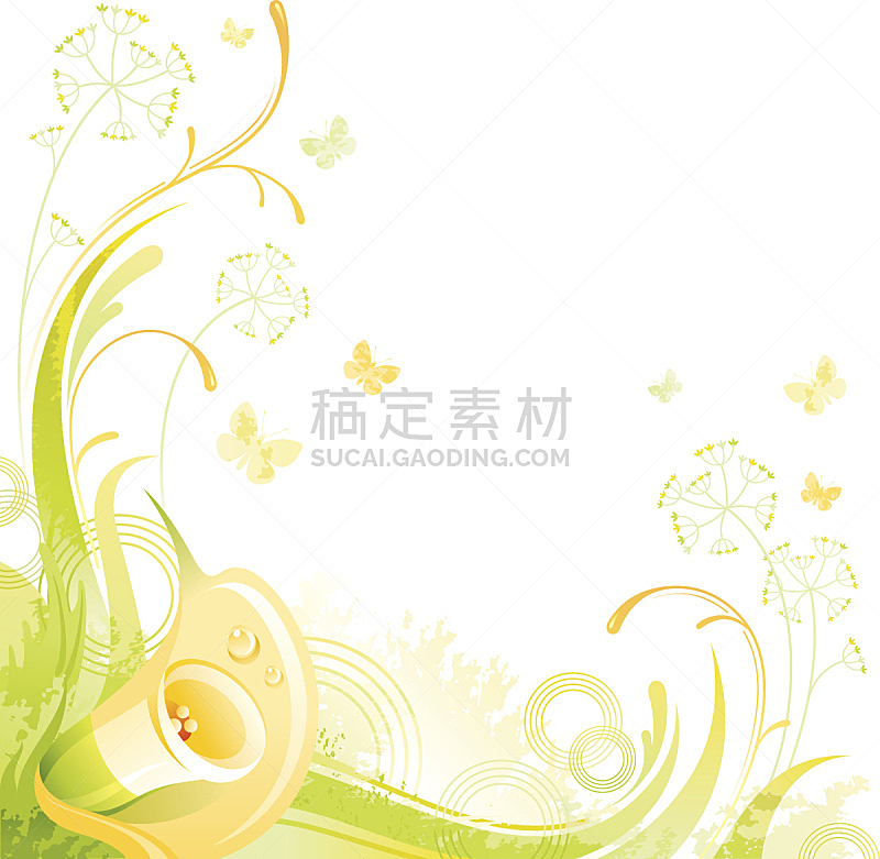 马蹄莲,留白,仅一朵花,背景,黄色,正方形,美,边框,芳香的,水平画幅