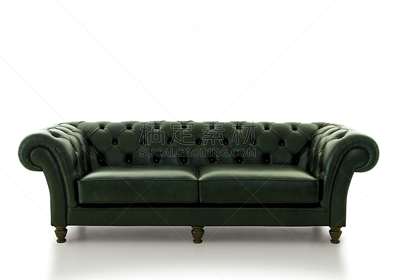 沙发,皮革,经典,切斯特,水平画幅,绿色,无人,色彩鲜艳,古典式,装饰物