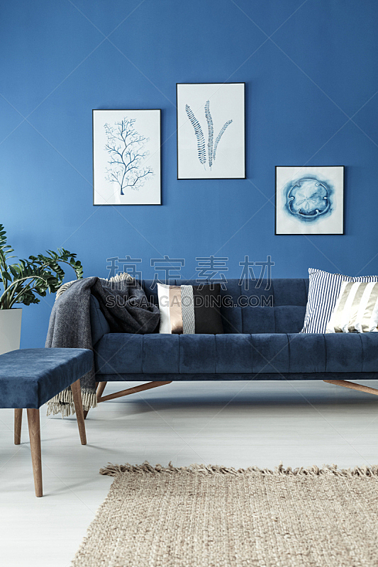 沙发,住宅房间,蓝色,垂直画幅,留白,古典式,家庭生活,明亮,居住区,现代