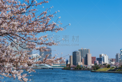 东京,樱桃树,天空,公园,休闲活动,水平画幅,樱花,运河,户外,滨水