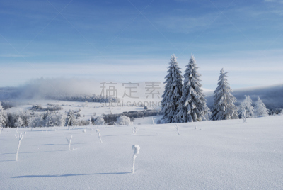 冬天,地形,阿尔卑斯枞树,黑森州,天空,水平画幅,雪,无人,时间,户外