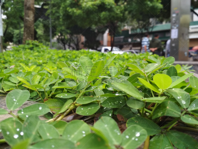 自然,雨,水平画幅,无人,广场,巴西,白昼,晴朗,日落,摄影