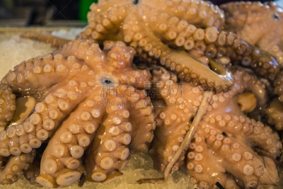清新,章鱼,鱼市,水平画幅,传统,生食,海产,商店,特写,货摊