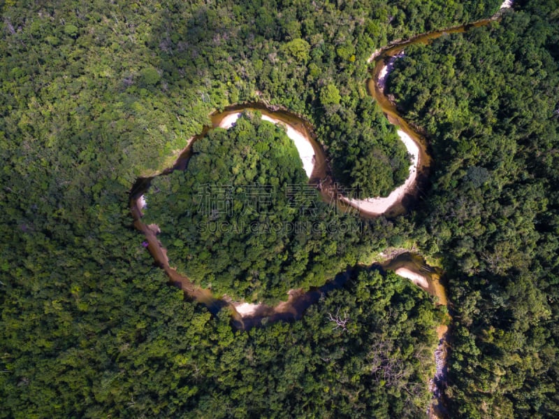 巴西,雨林,航拍视角,秘鲁亚马孙,亚马逊河,亚马孙洲,亚马逊雨林,亚马逊地区,贝伦,热带雨林