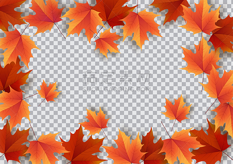 模板,叶子,秋天,多色的,橡树叶,色彩鲜艳,贺卡,边框,艺术,水平画幅