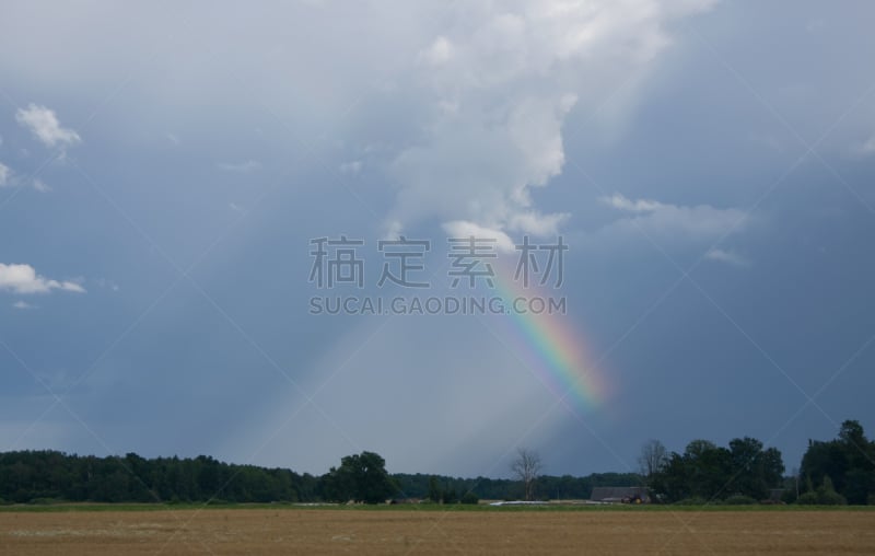 天空,夏天,地平线,陆地,立陶宛共和国,彩虹,水平画幅,无人,户外,草