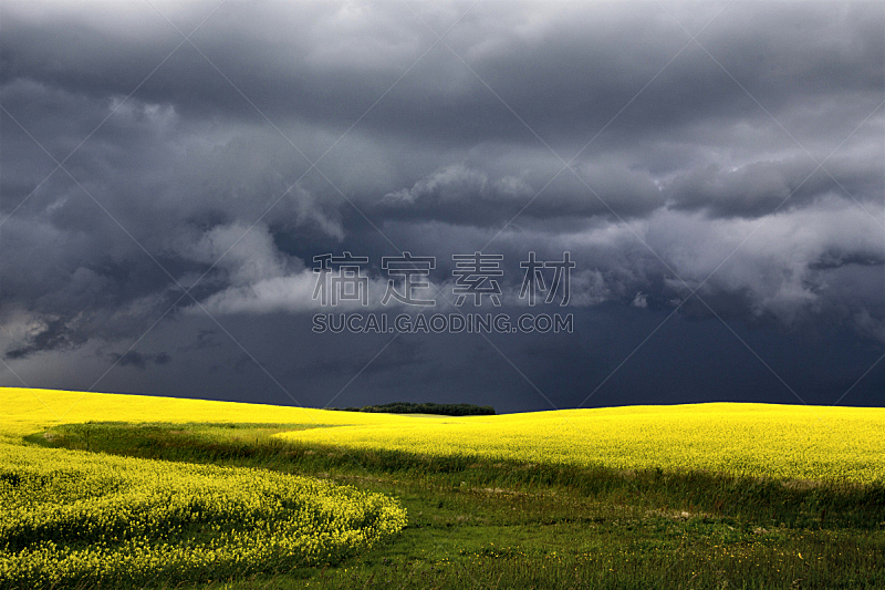 萨斯喀彻温省,乌云,自然,暴风雨,水平画幅,无人,草原,夏天,户外,雷雨