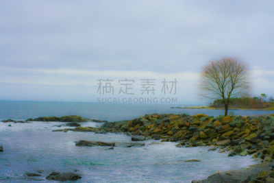 摄像机拍摄角度,纽卡斯尔,水,水平画幅,冬天,无人,大西洋,风景,栈桥码头