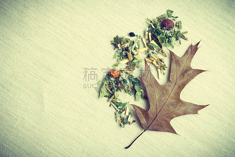 干的,草本,叶子,秋天,橡树叶,自然,留白,水平画幅,绿色,水果