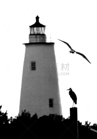 奥卡拉寇克灯塔,垂直画幅,海特瑞斯角,奥卡拉寇克岛,美国,无人,北卡罗来纳,1990年-1999年,摄影,剪影