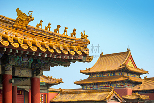 故宫,北京,屋顶,黄色,山脊,王子,瓦,旅游目的地,水平画幅,古老的