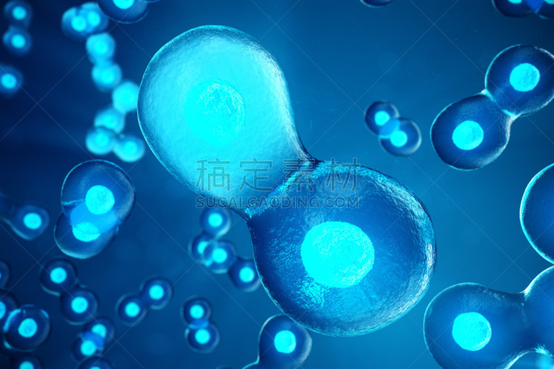 Human or animal cells on blue background. Concept Early stage embryo Medicine scientific concept, Stem cell research and treatment. 3D illustration.