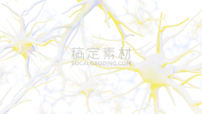 神经元,计算机网络,第三节神经递质,研究基金会,大规模的放大,生物学,突触,神经纤维,抽象背景,细胞结构
