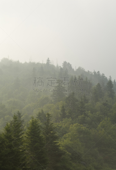 蓝岭公路,北卡罗来纳,夏天,南方丘陵地带,自然,垂直画幅,美国,地形,无人