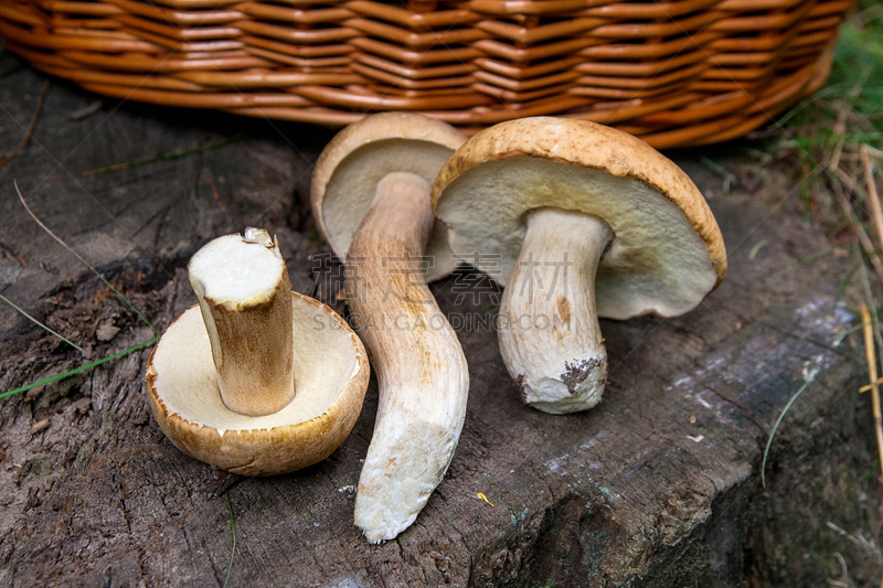 牛肝菌,篮子,中等数量物体,美味牛肝菌,木制,背景,小圆面包,自然界的状态,食品,成分