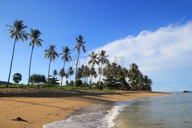 沙子,海滩,蓝色,海洋,风景,棕榈树,蓝塔岛,甲米,安达曼海,水