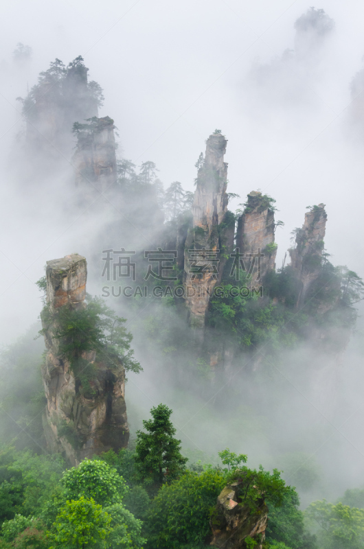 武陵源,中国,雾,山脉,天子山,张家界,张家界国家森林公园,湖南省,垂直画幅,国家公园