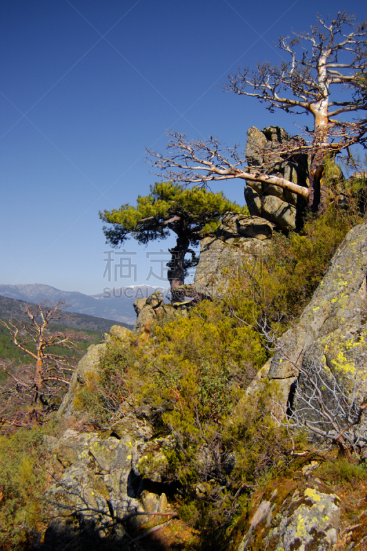 早晨,山,地形,欧洲,垂直画幅,天空,半空中,旅行者,户外,齿状山脊