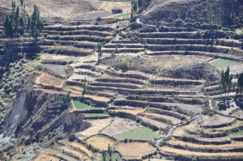 秘鲁,阿雷基帕城,自然,水平画幅,地形,无人,阿雷基帕省,峡谷,户外,摄影