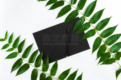 速写本,绿色,看风景,在上面,自然,桌子,铅笔,华丽的,枝