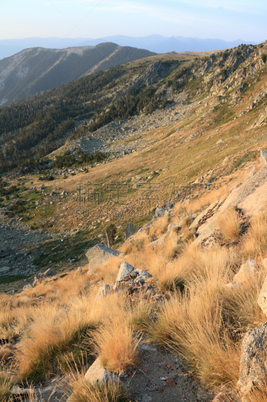 Landscape in Pyrenees orientales, Nature reserve of Nohèdes in Conflent in south of France.