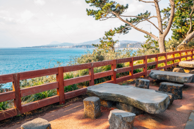 长椅,韩国,桌子,海滩,济州岛,世界遗产,野餐,公园,椅子,公园长椅