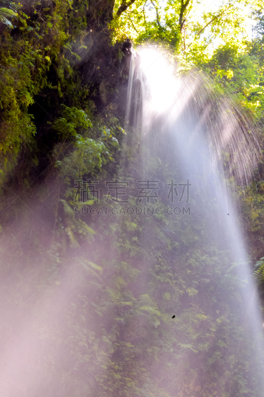 式样,纹理效果,叶子,背景,欧洲蕨,自然,垂直画幅,秋天,无人,抽象