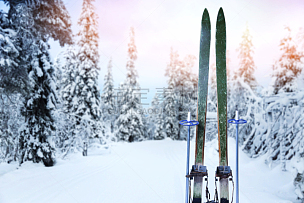 木制,越野滑雪,滑雪雪橇,滑雪痕,滑雪杖,留白,休闲活动,水平画幅,雪,无人