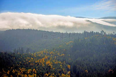 孚日省,风景,森林,法国,阿尔萨斯,高原,水平画幅,秋天,无人,蓝色