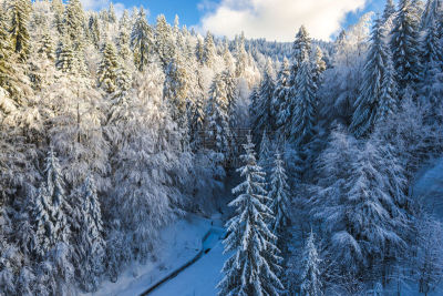 滑雪场,运动,罗马尼亚,雪,户外,天空,日本,高雪维尔,山脉,度假胜地