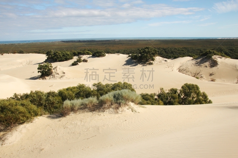 沙漠,石峰沙漠,西澳大利亚,水平画幅,沙子,旅行者,夏天,尖峰,户外,沙丘