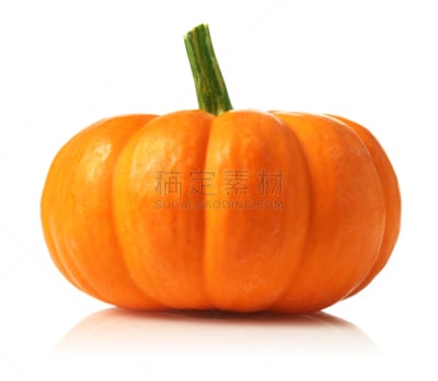 南瓜,植物茎,水平画幅,橙色,小的,葫芦,无人,季节,食品