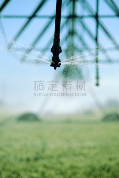 灌溉设备,小麦,田地,垂直画幅,水,绿色,无人,管道,自动喷水机,中枢灌溉