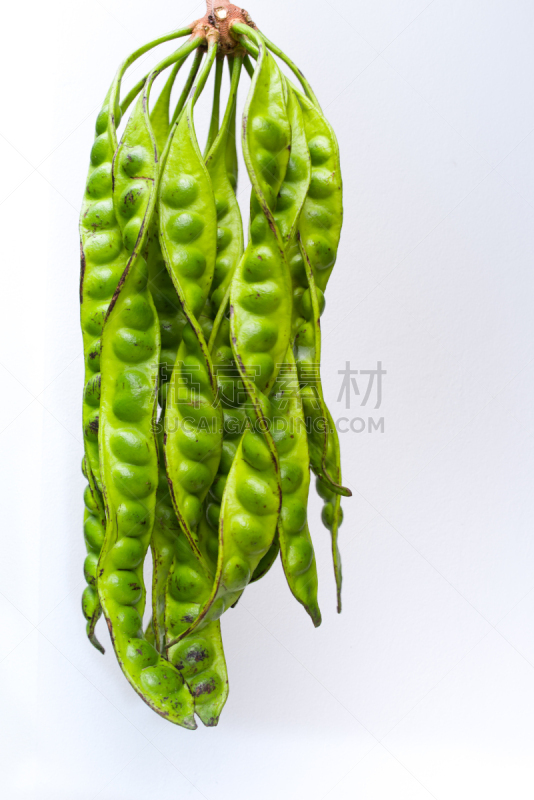 豆,臭,垂直画幅,生食,组物体,东南亚,植物,热带气候,清新,去皮的