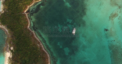 双体船,礁石,风景,巴哈马国,顶部,宁格罗海洋公园,大堡礁,天堂岛,探险家,水
