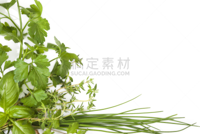 留白,草本,背景,水平画幅,高视角,无人,芫荽叶,胡荽籽,现代,植物