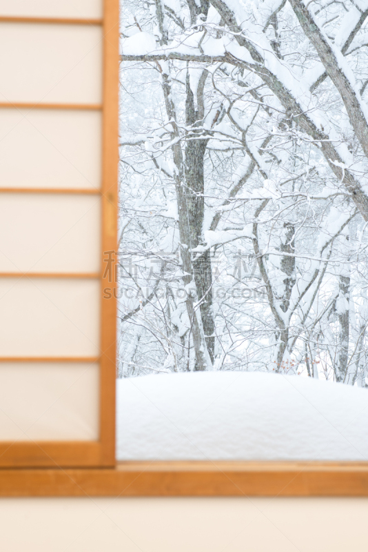 雪,障子,灌木林,垂直画幅,窗户,留白,冬天,无人,日本,两极气候